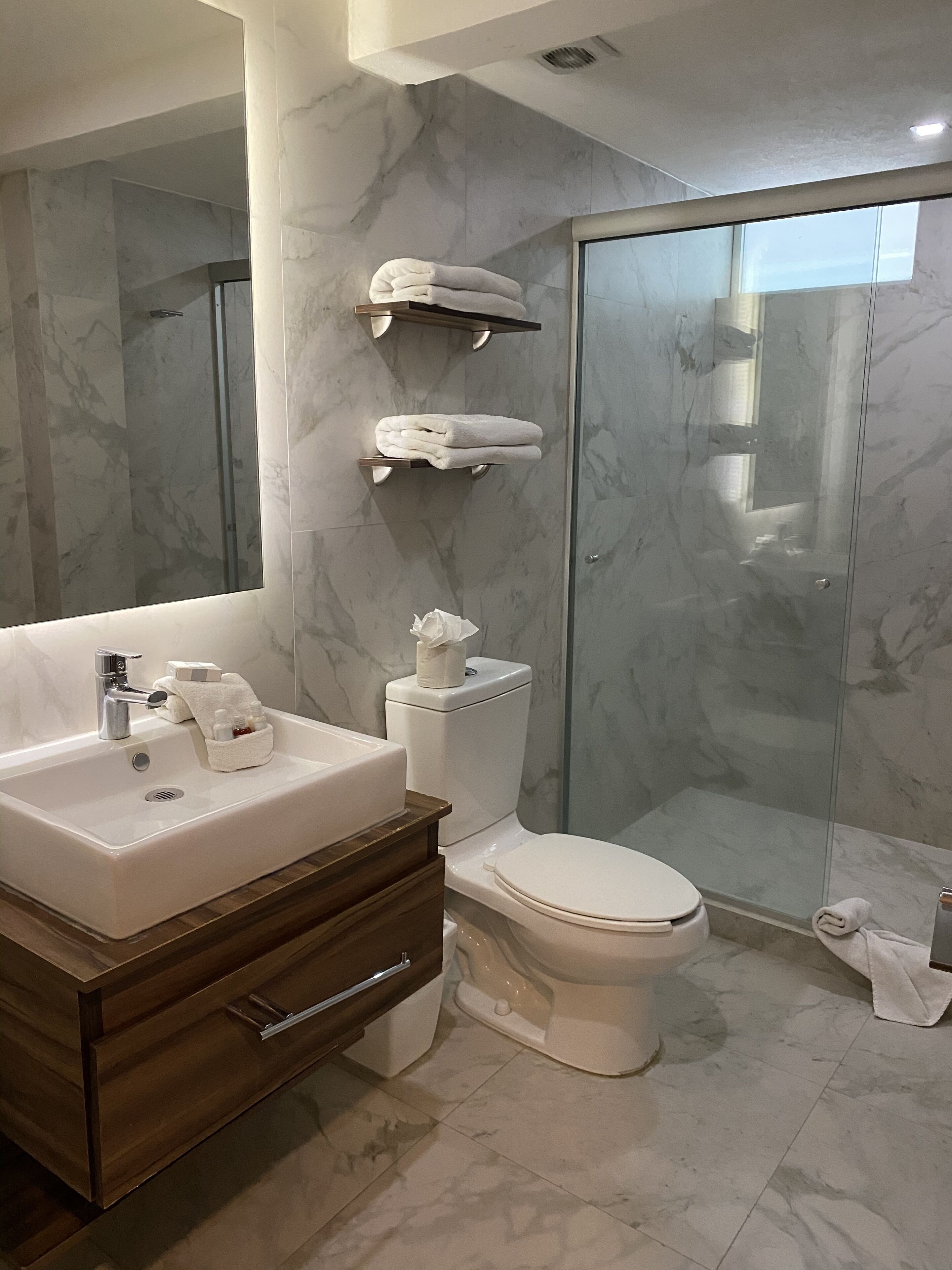 standard suite | bathroom shower
