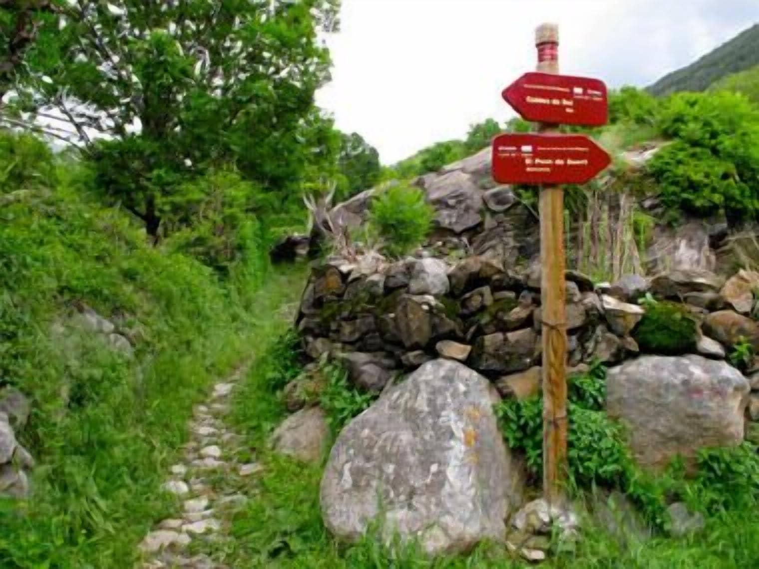 Foto - Hostal La Plaça