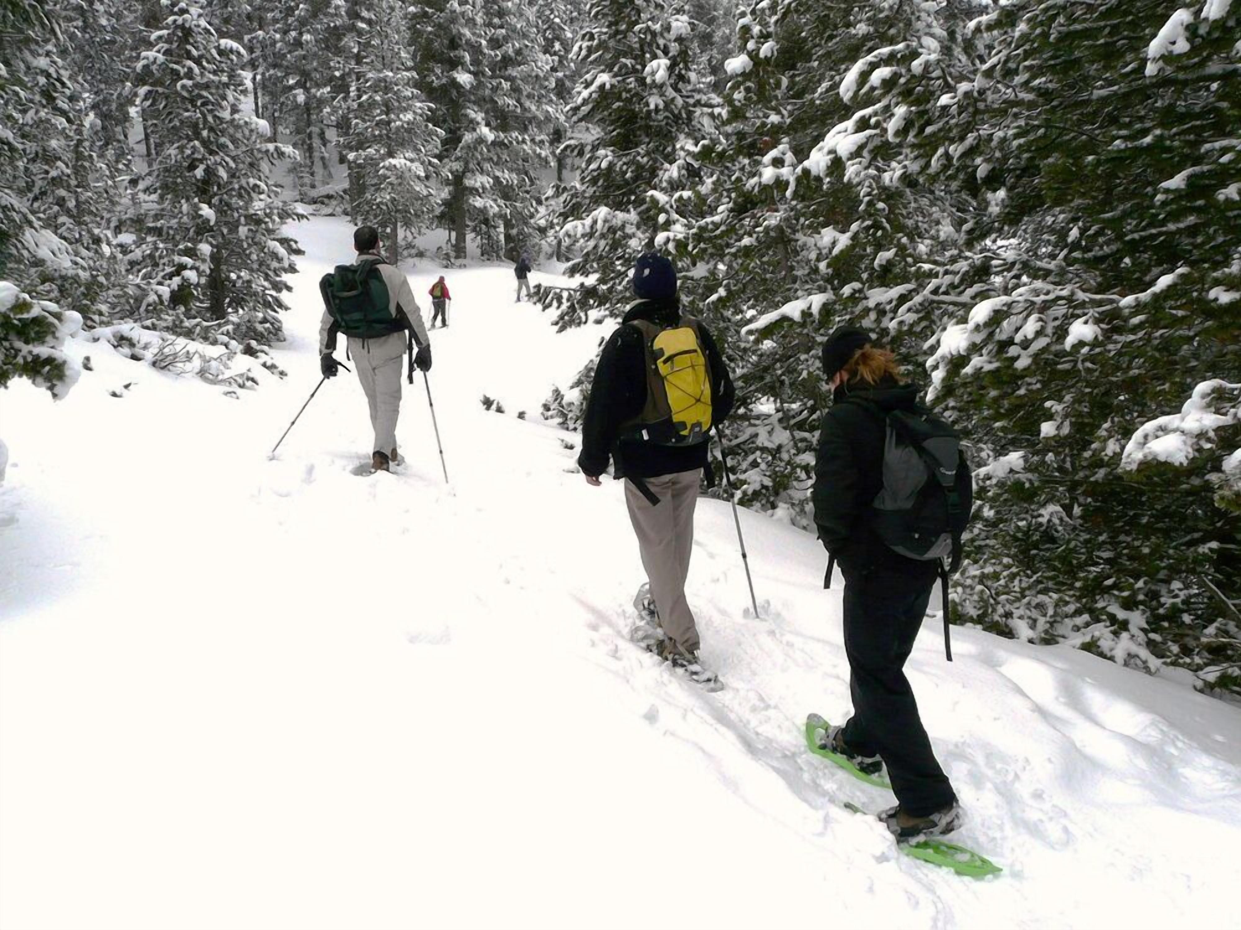Foto - Hostal La Plaça