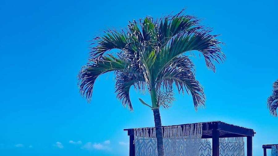 Senses Riviera Maya Oceanfront Boutique hotel - Adults only