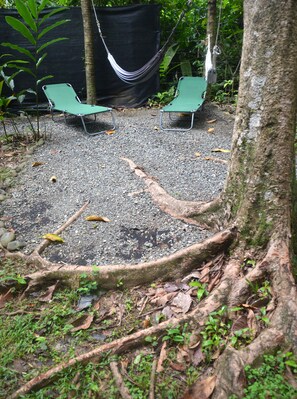Taman