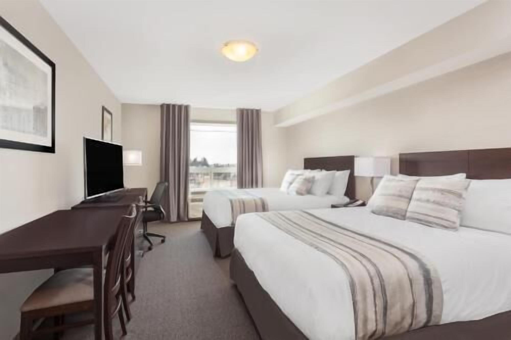 In-room safe, desk, laptop workspace, blackout curtains