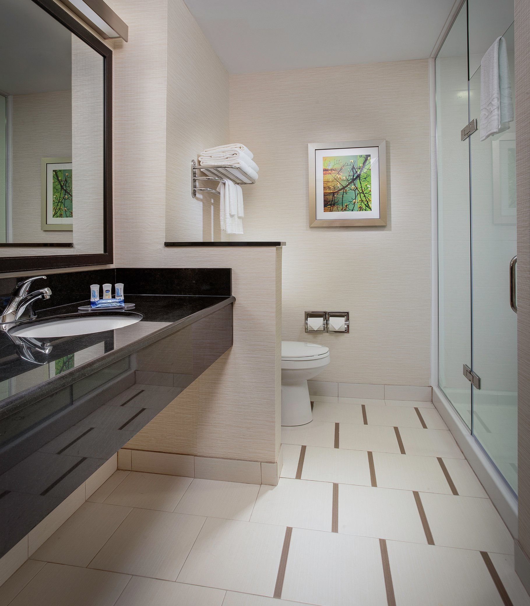 combined shower/bathtub, free toiletries, hair dryer, towels