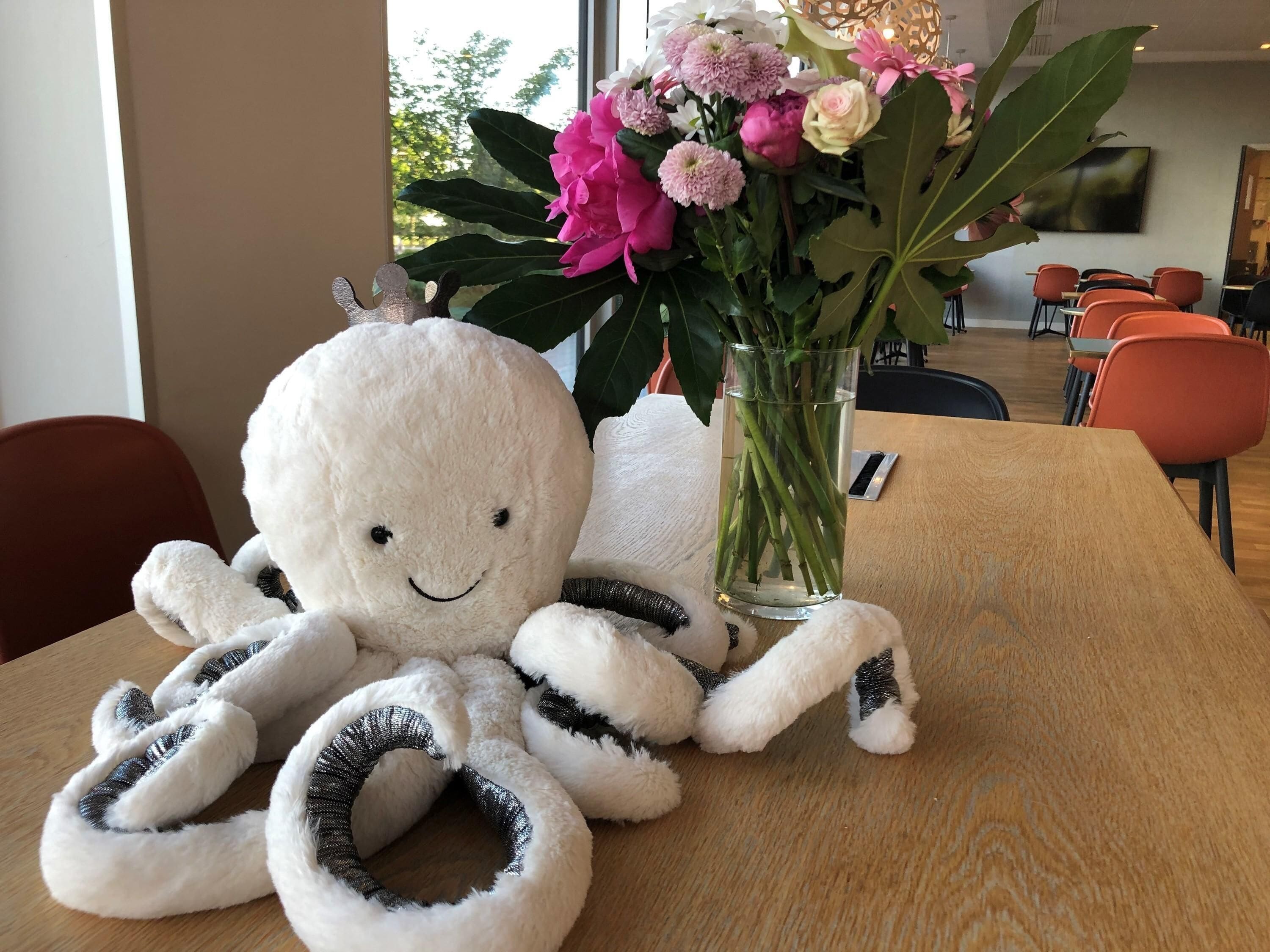 Foto - ibis Styles Versailles Guyancourt