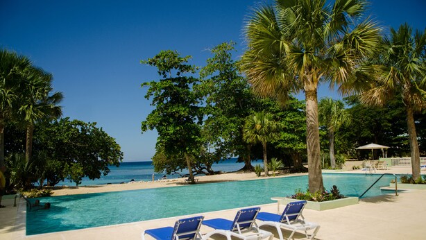 Zona junto a la piscina con sillones de descanso, palmeras y vistas a la playa.