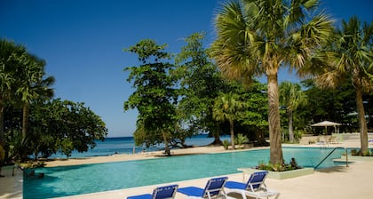 Seas the Day Sanctuary