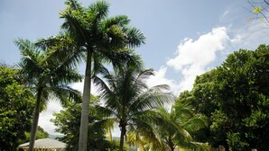 A pool area surrounded by palm trees and a gazebo. - Seawind On the Bay - Apartments (Montego Bay)