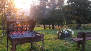 BBQ/picnic Area - Agriturismo L'A Ceccoli (Sassofeltrio)