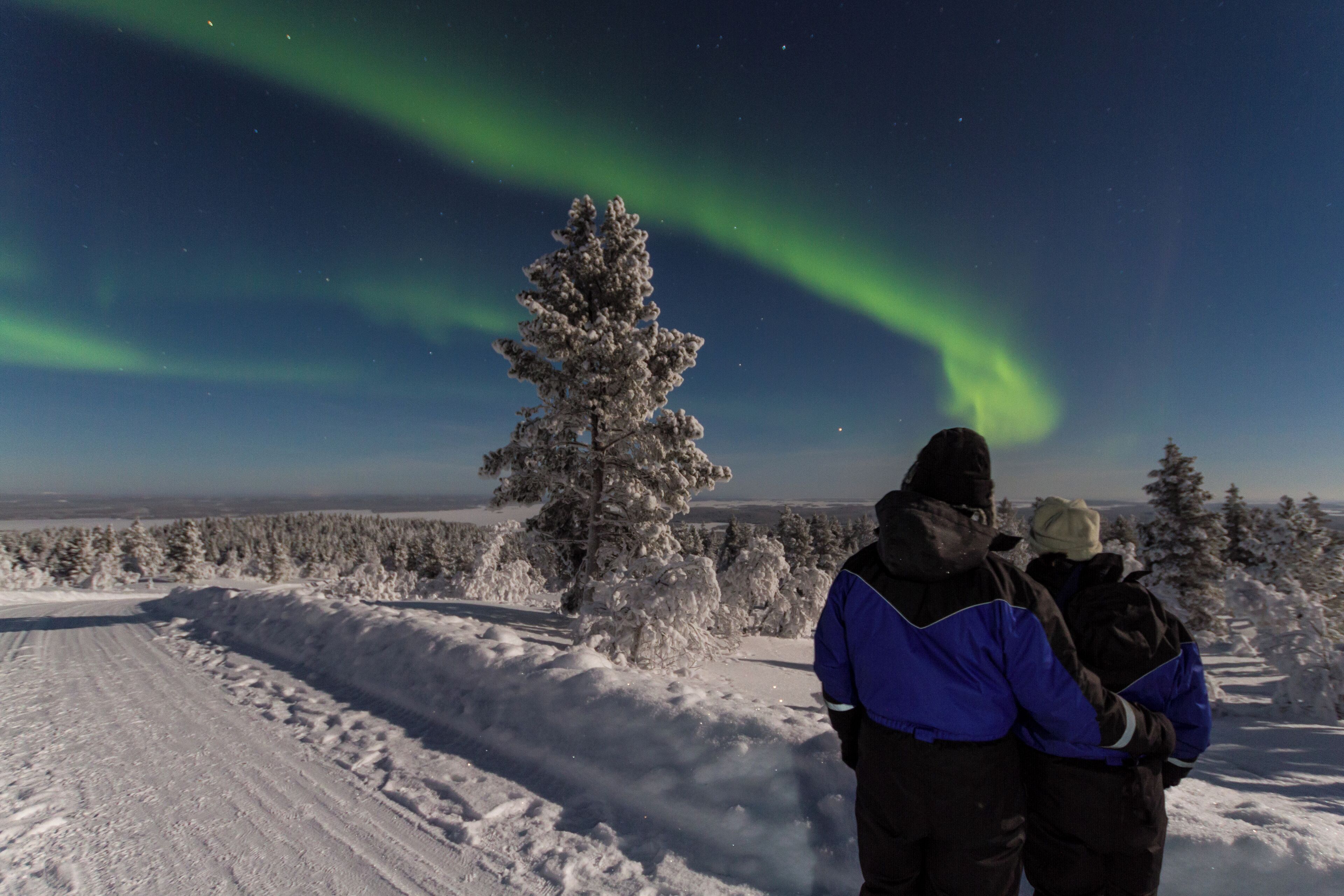 A snowy landscape with a clear sky and the Northern Lights.
