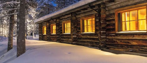 Una cabaña de troncos con amplias ventanas, rodeada de árboles cubiertos de nieve.