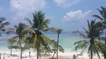 On the beach, scuba diving