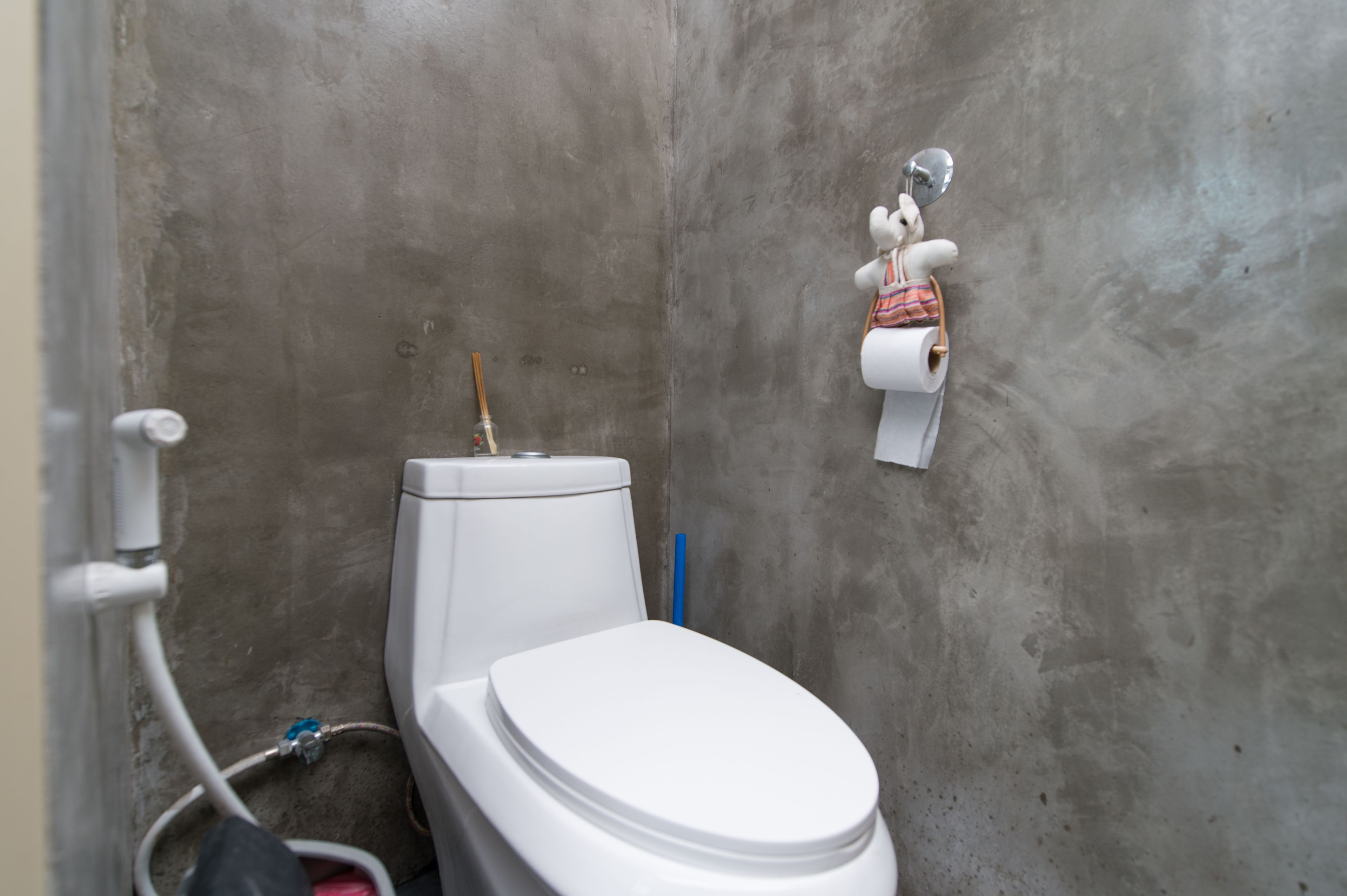 A bathroom with a white toilet, a wall-mounted toilet paper holder, and a visible pipe.