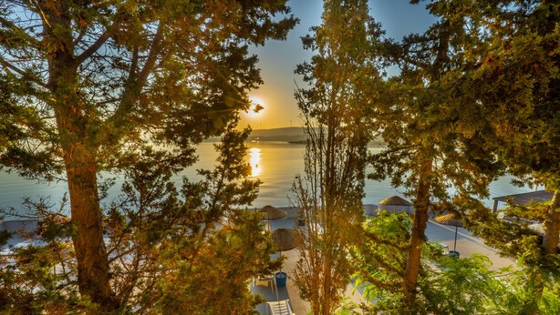 A beach view with a lounge chair and umbrella, surrounded by trees and overlooking the sea. - Sifne Thermal Otel (Cesme)