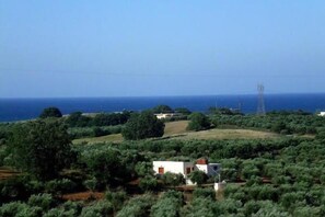 A coastal landscape with a white building surrounded by greenery and a power line tower in the distance. - Pinelopi Apartments (Apokoronas)
