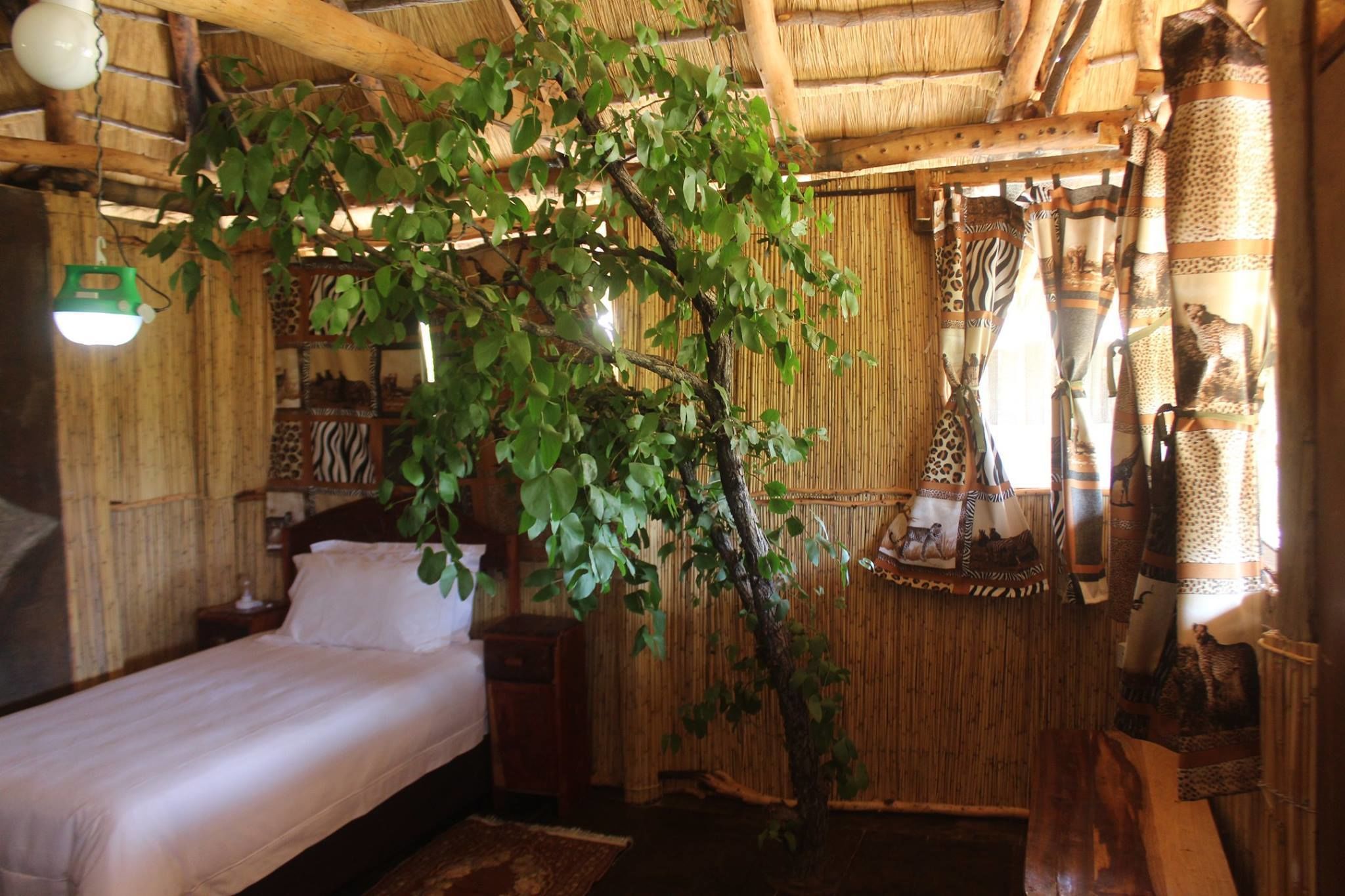 Zweibettzimmer | Zimmersafe, Schreibtisch, Bügeleisen/Bügelbrett, Rollstuhlgeeignet