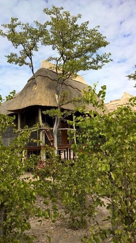 Dzibanana Lodge & Camping