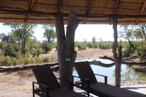 Outdoor pool - Dzibanana Lodge & Camping (Sepako)