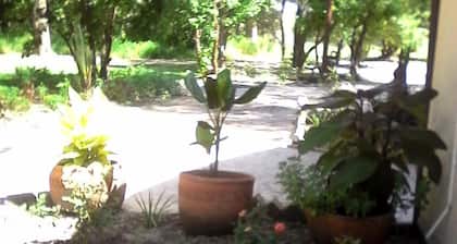 Chief's Guest House