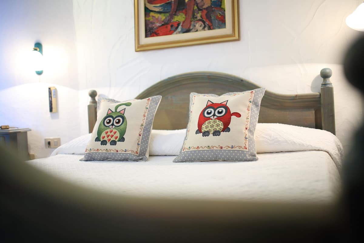 A bed with two decorative pillows featuring owl designs.