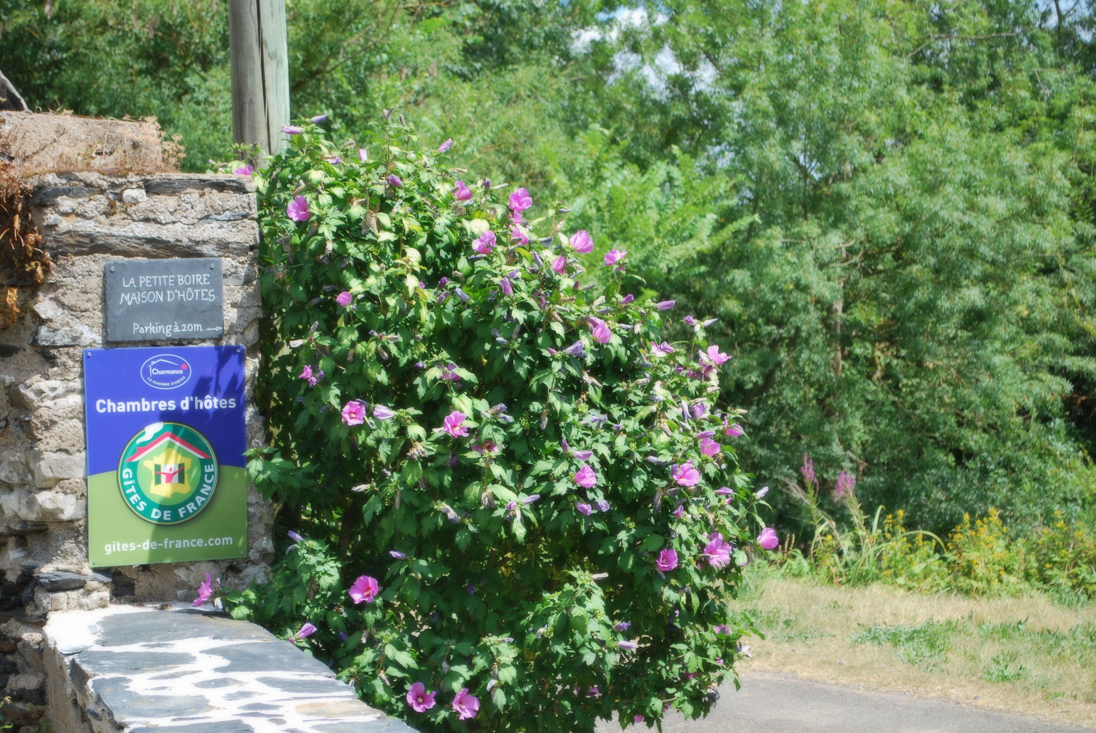 A stone wall with a sign indicating a hotel named "La Petite Boire Maison d'Hôtes" with a parking area of 20m.