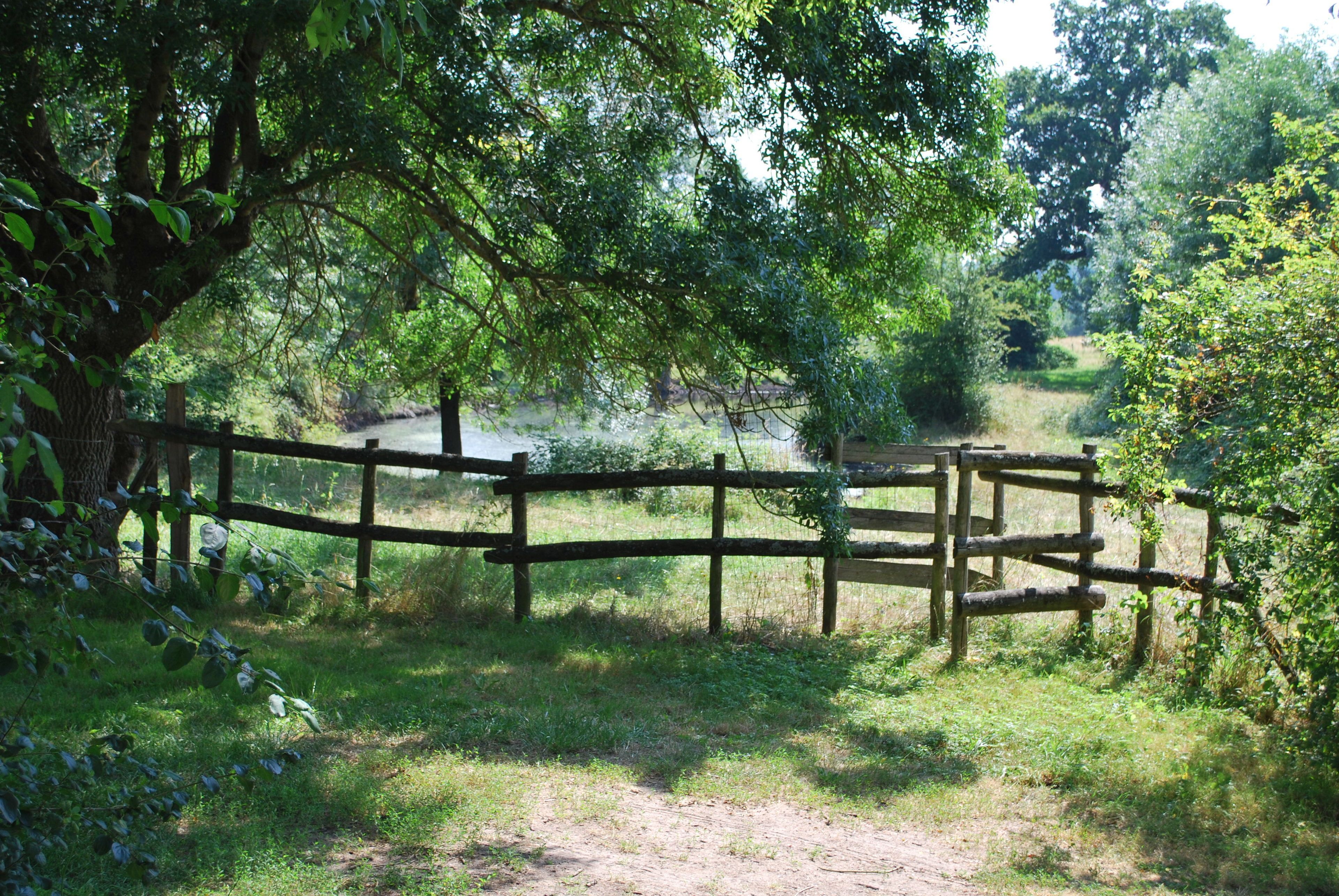A wooden fence in a natural setting with trees and grass.