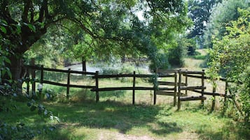 A wooden fence in a natural setting with trees and grass.