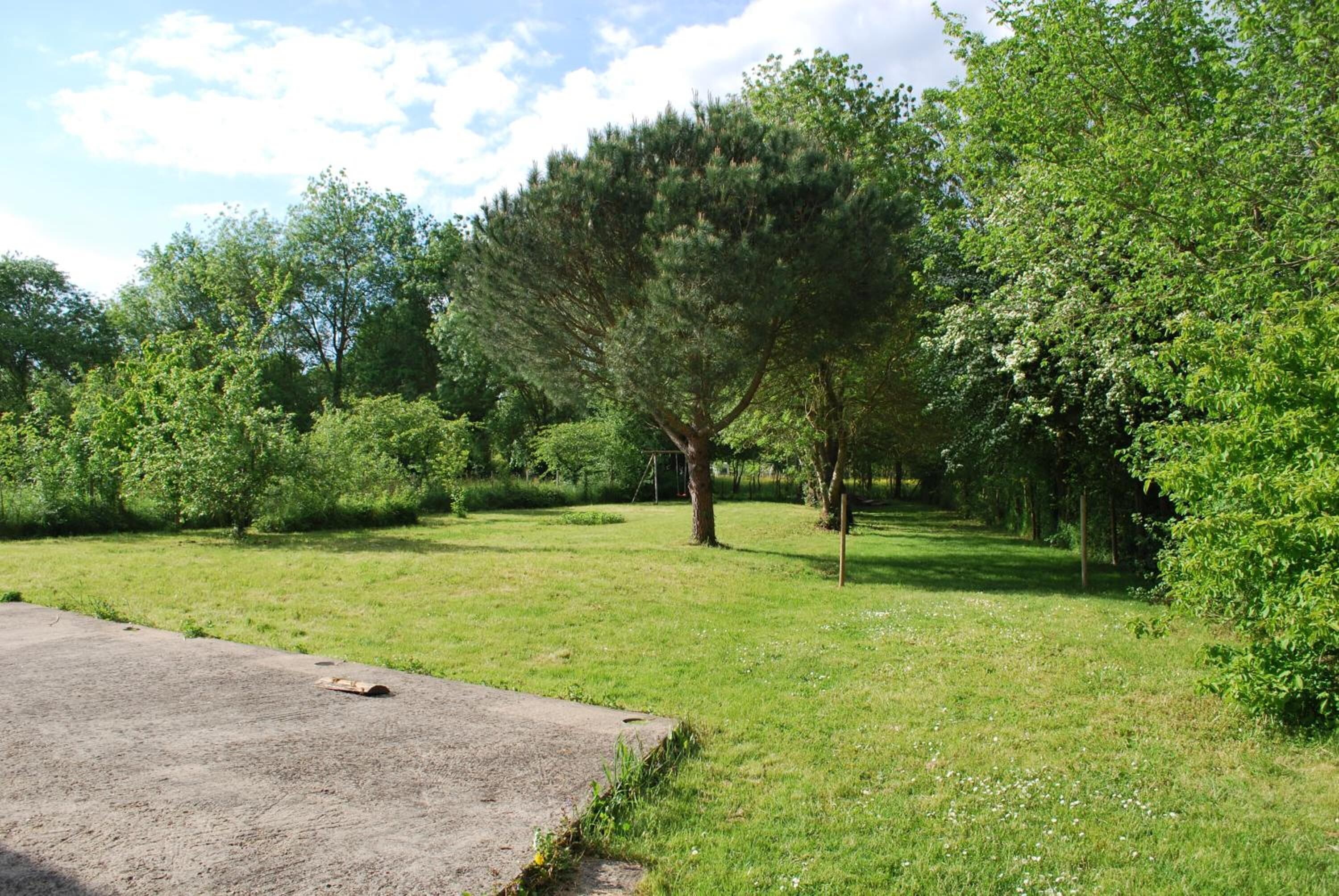 Un área cubierta de césped con árboles y un sendero de hormigón.