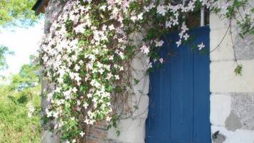 A stone building with a blue door and pink flowering vines.
