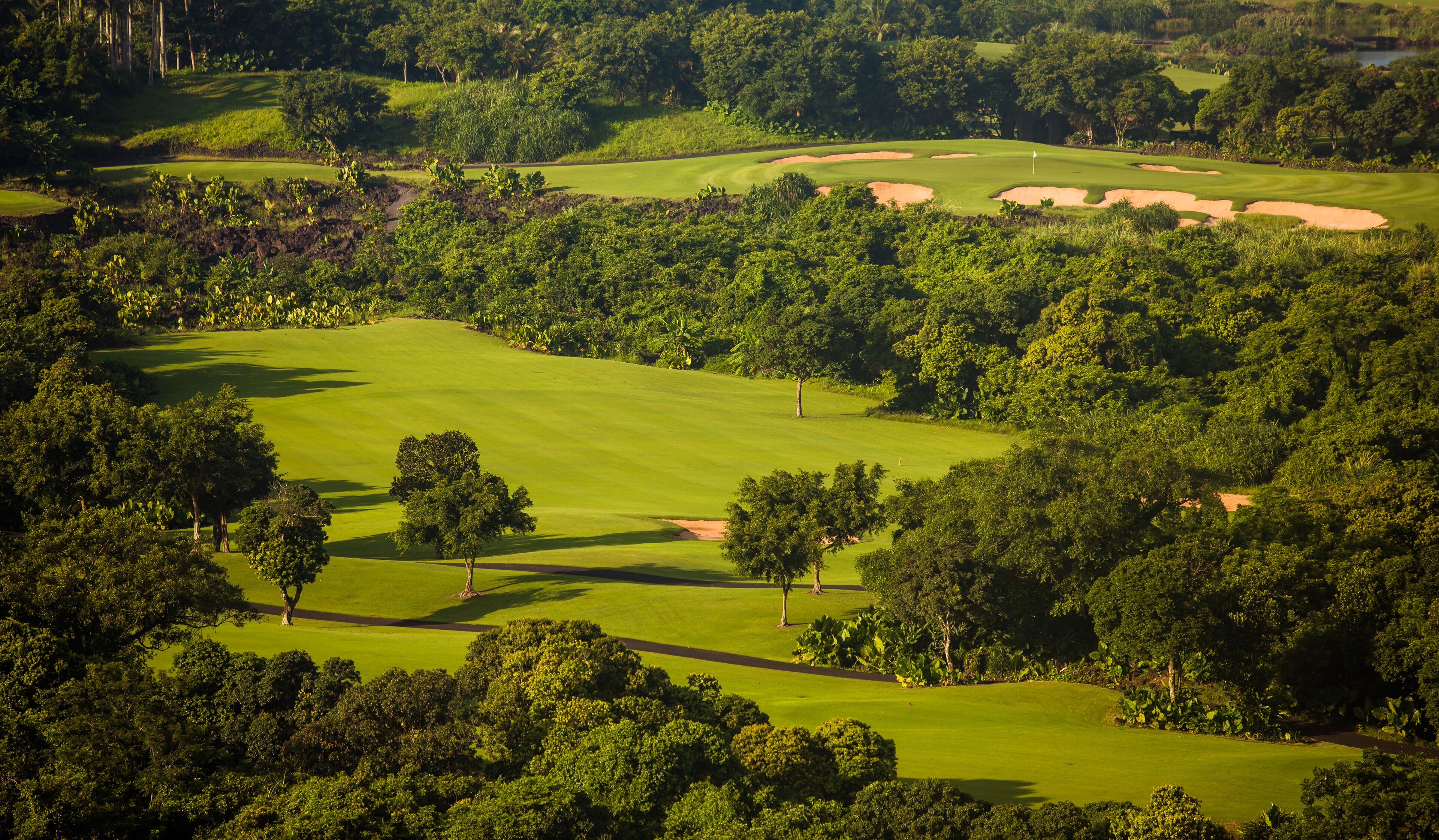 Um campo de golfe com vários percursos, armadilhas de areia e vegetação densa.