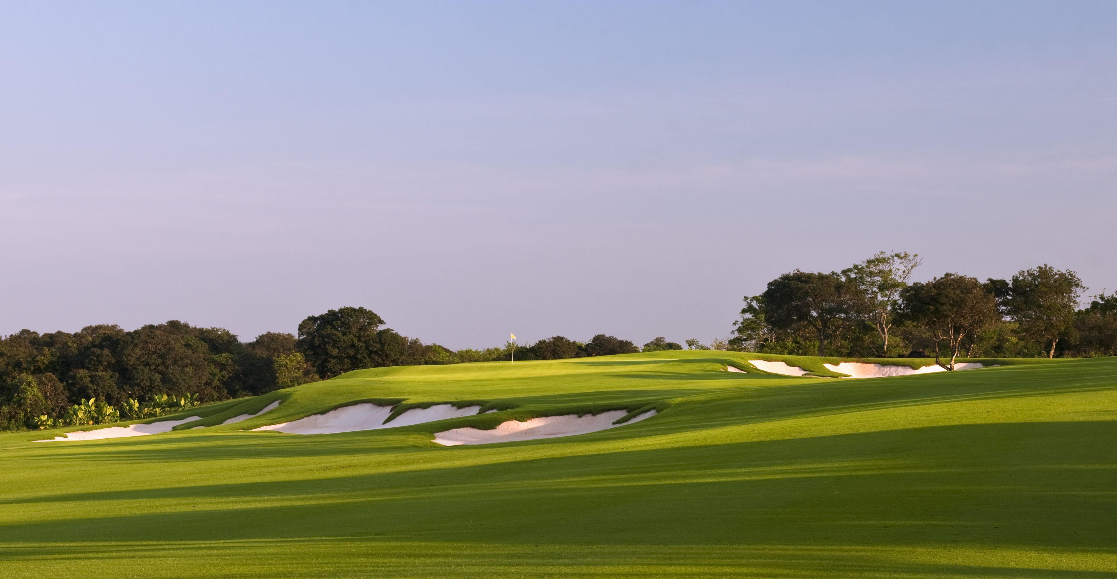 A golf course with sand bunkers and trees in the background.
