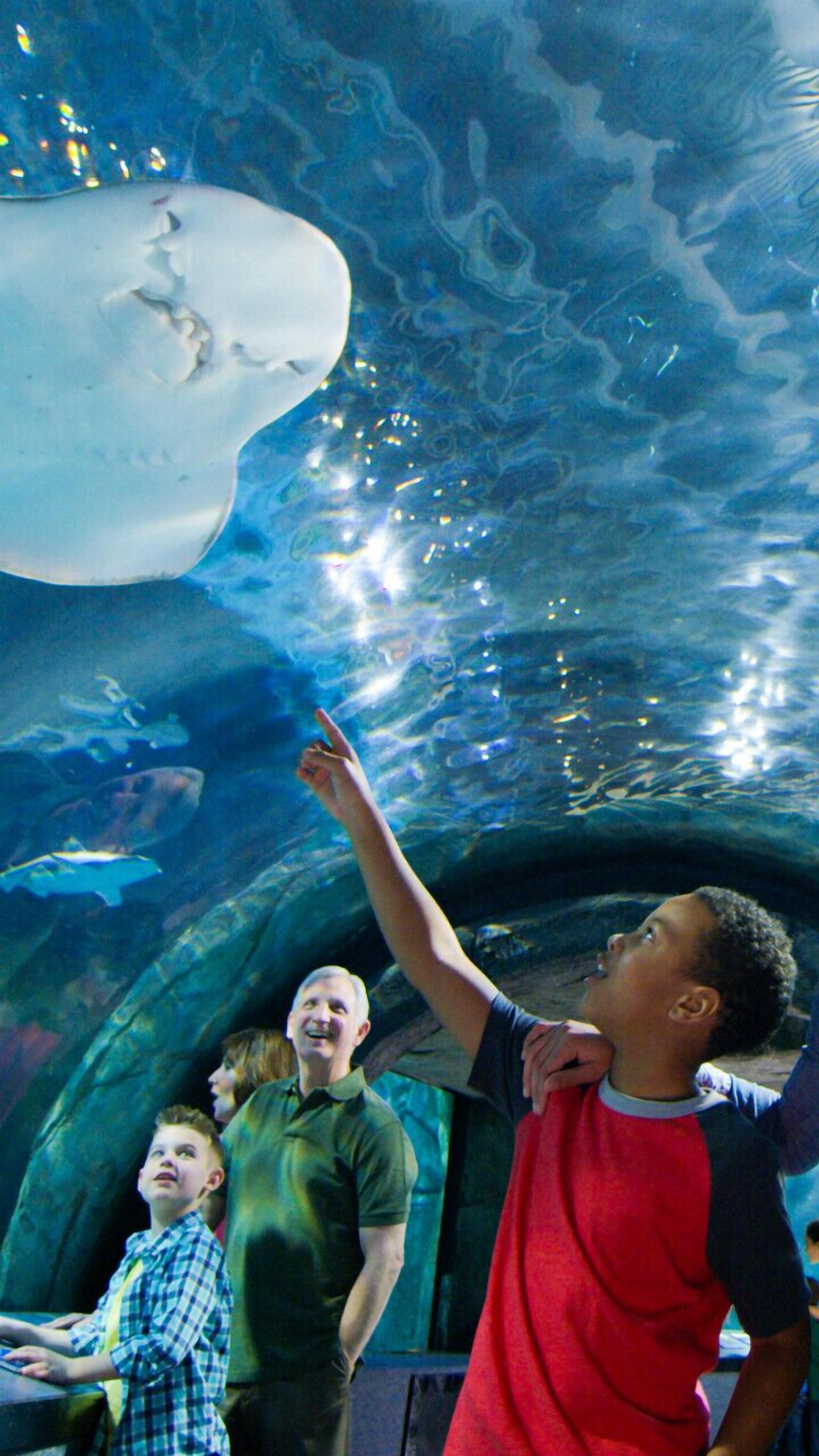 An aquarium with a large whale sculpture and a child pointing at it.