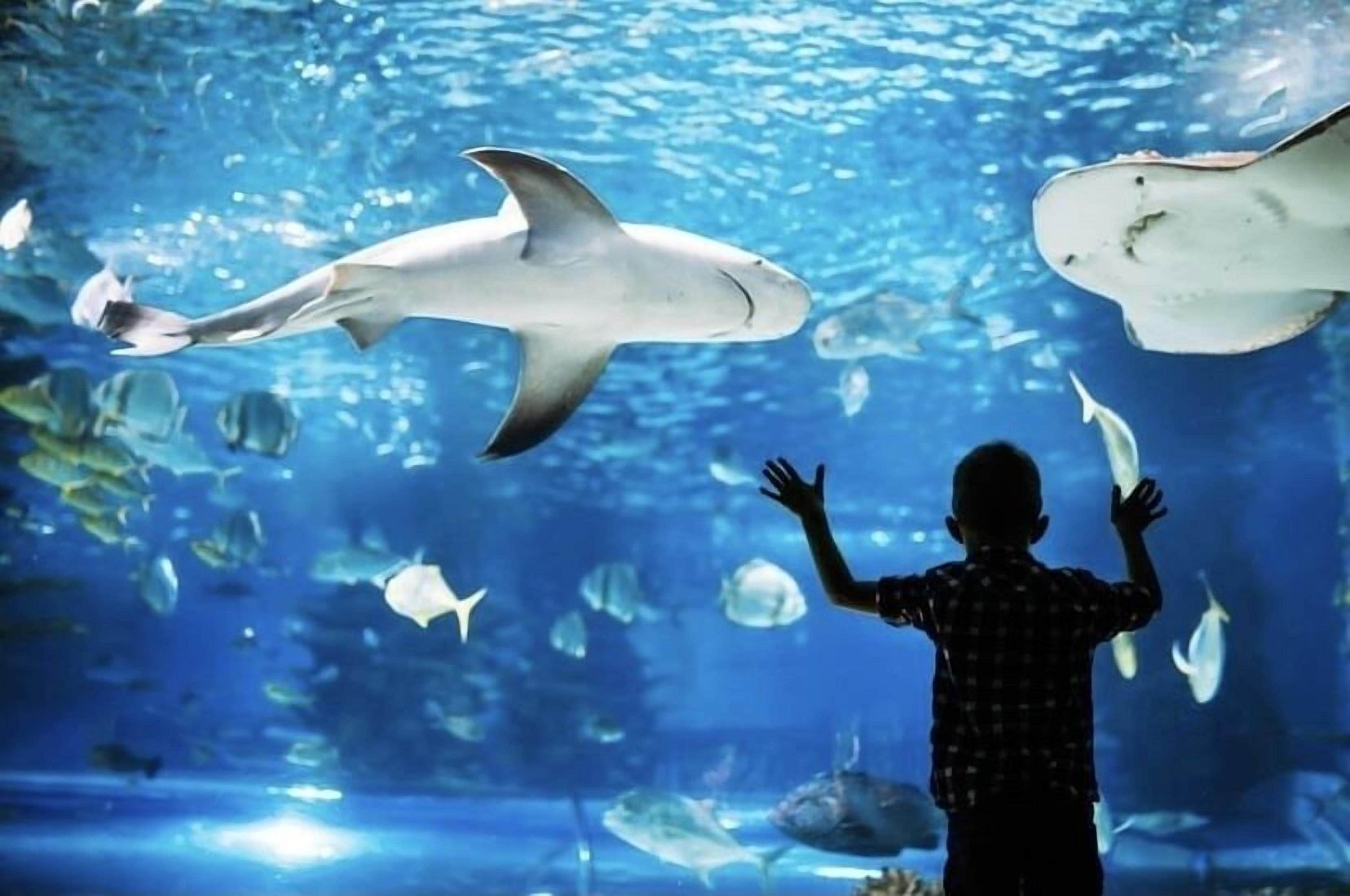 children’s activities