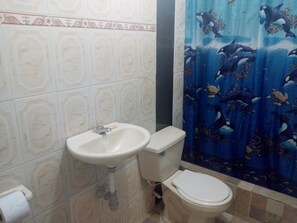 Shower, hair dryer