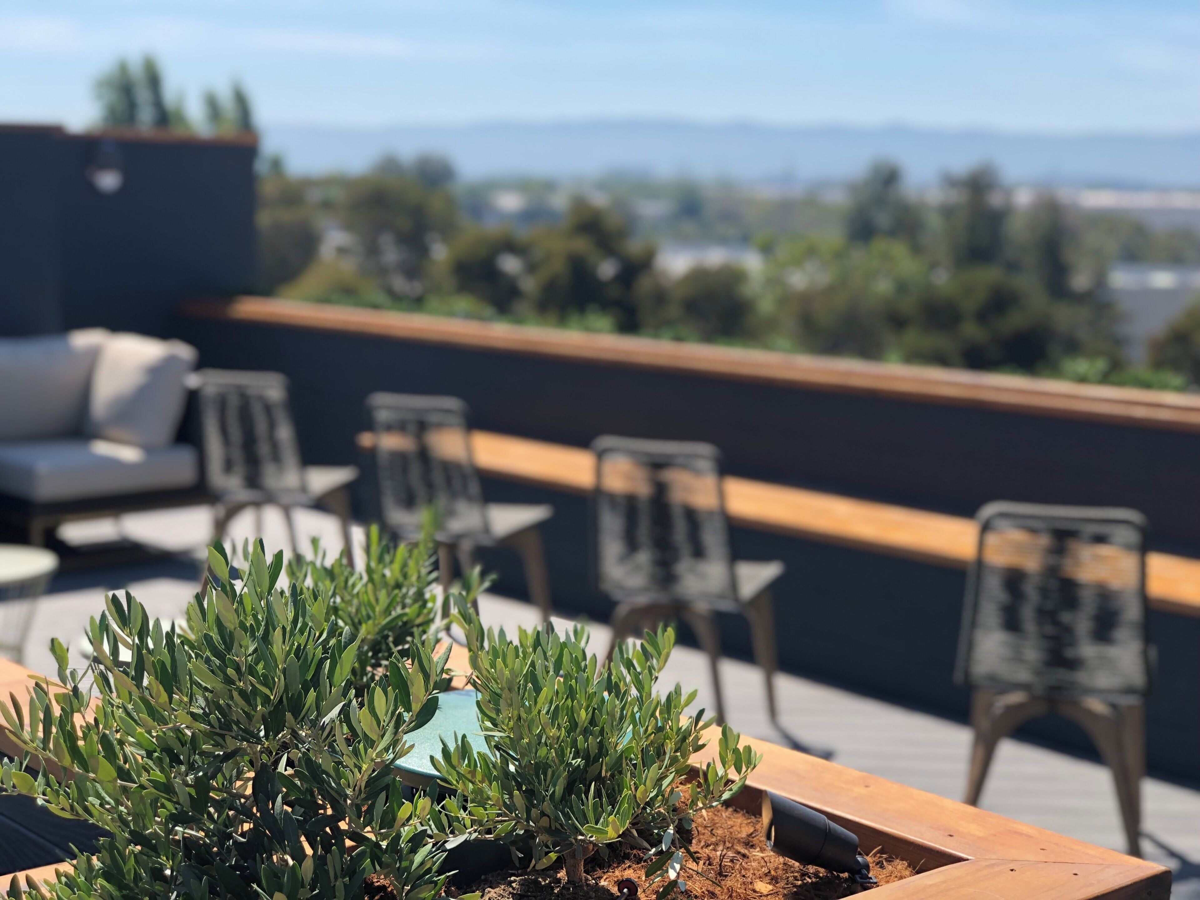 Terraza en la azotea con mobiliario exterior, incluyendo un sofá y sillas, además de un jardín vertical con plantas verdes.