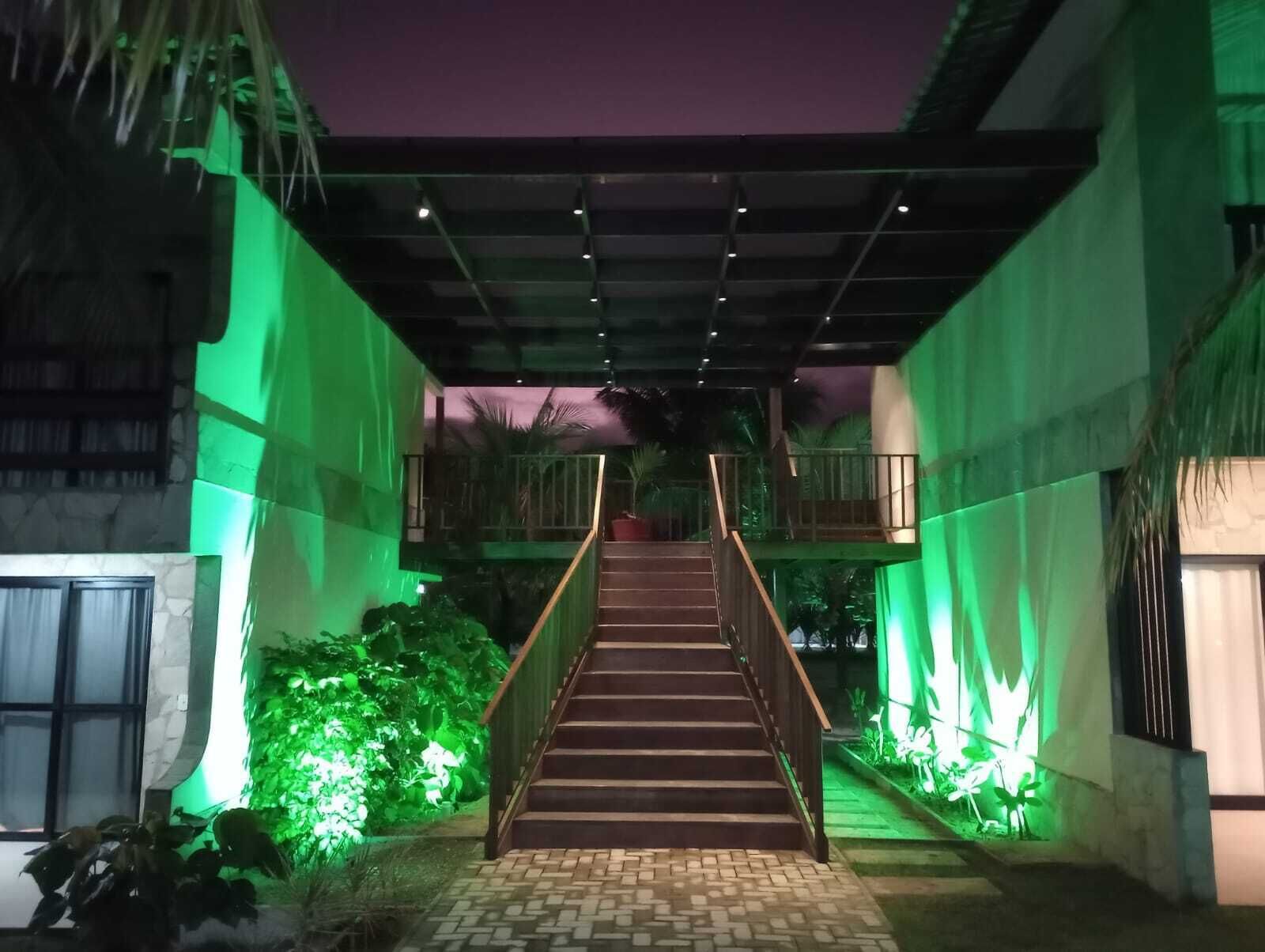 Una escalera conduce a un nivel superior, rodeada de plantas iluminadas en verde y un muro de piedra.