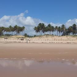 Am Strand, Sonnenschirme