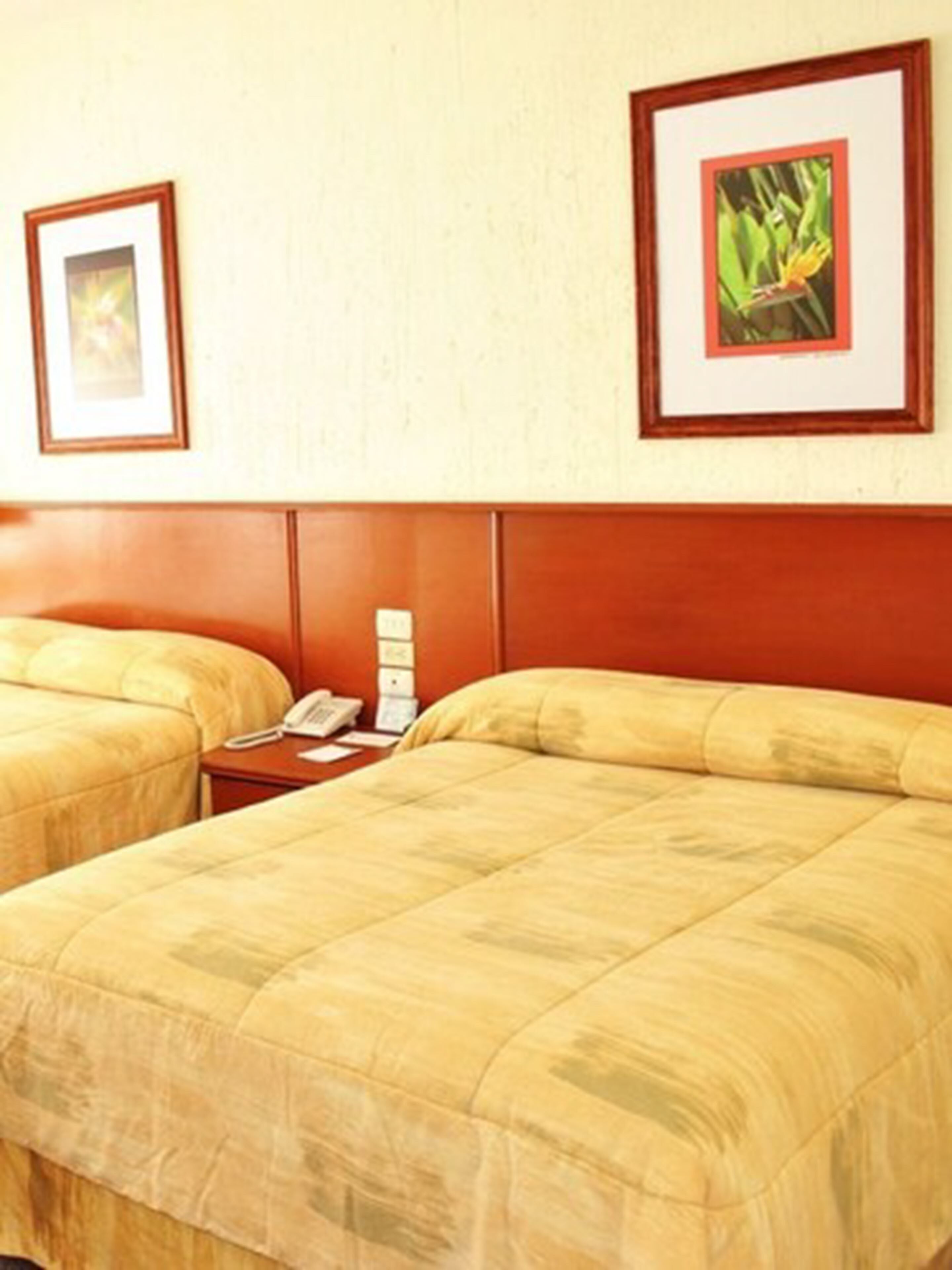 executive double room, 2 double beds | in-room safe, desk, soundproofing, iron/ironing board