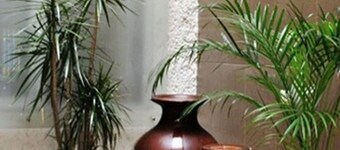 Hotel Marcella Clase Ejecutiva