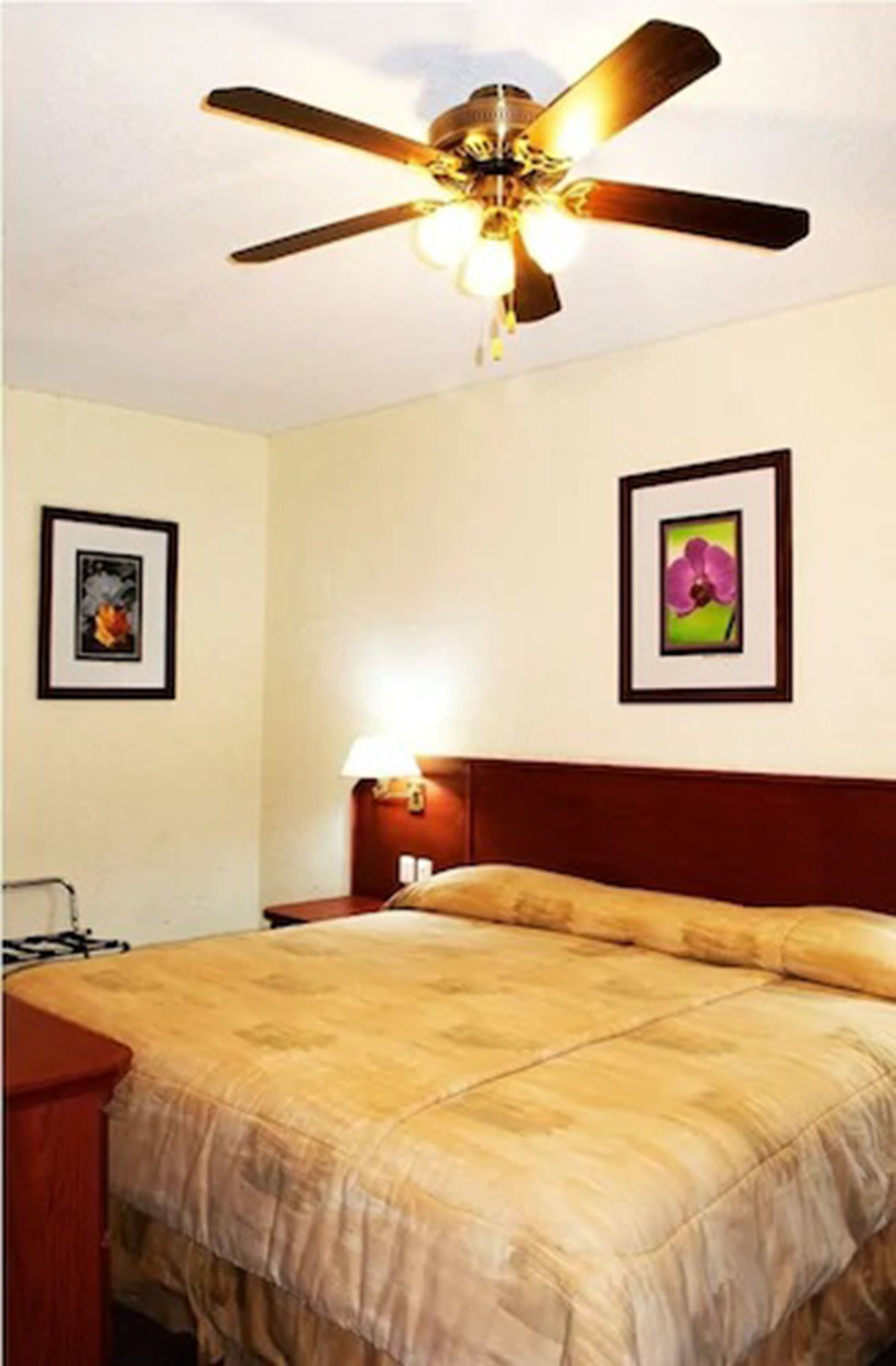 Foto - Hotel Marcella Clase Ejecutiva