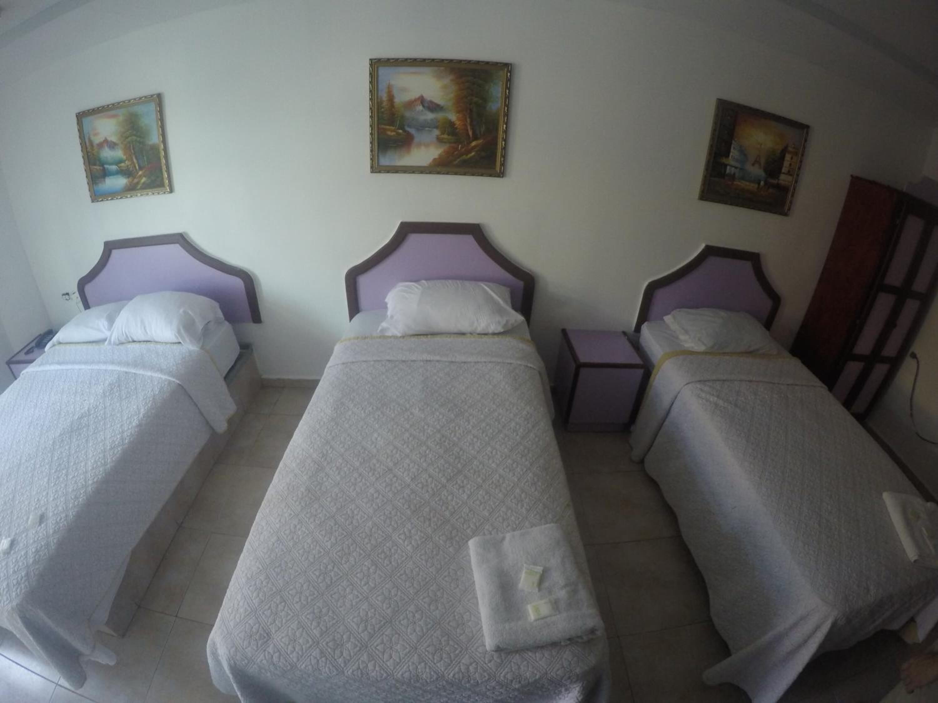 Foto - Backpacker Inn