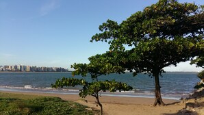 Ein Strand mit einem Baum und Blick auf eine Stadtlandschaft im Wasser.
