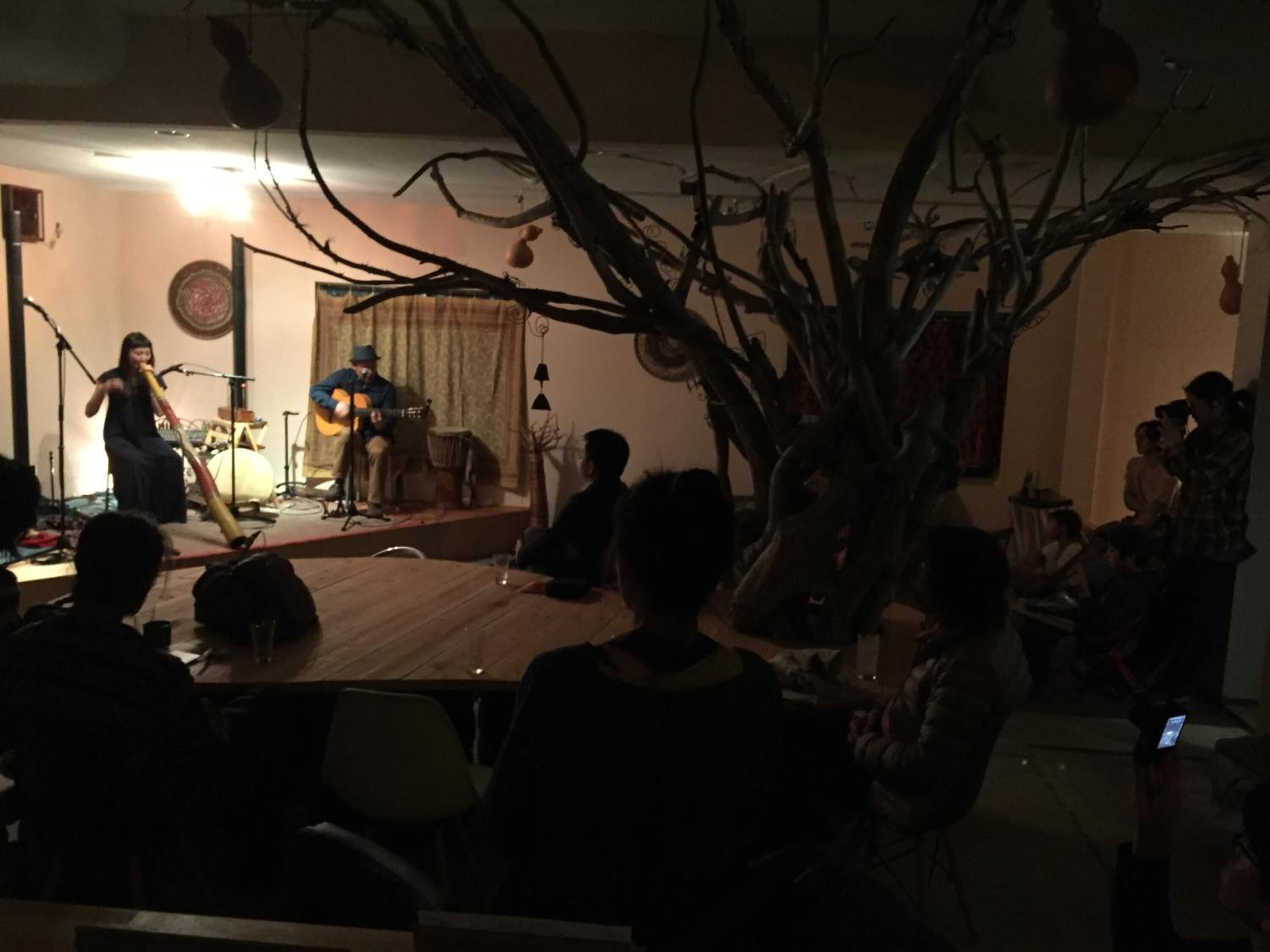A dimly lit room with a stage for live music, a dining table, and a large decorative tree in the foreground.