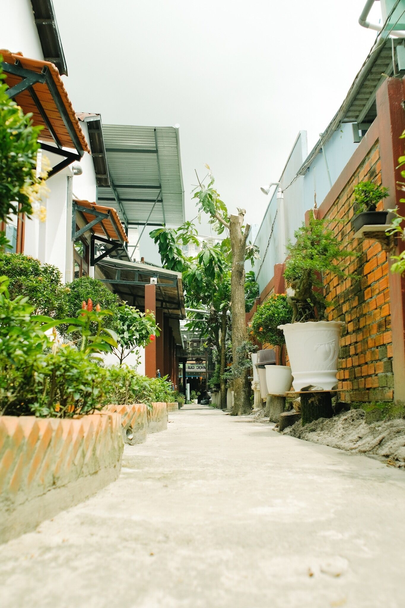 A narrow alley with potted plants and a brick wall on one side.