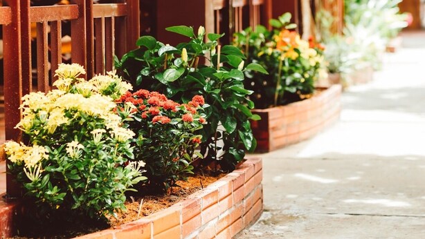 Terrasse/patio