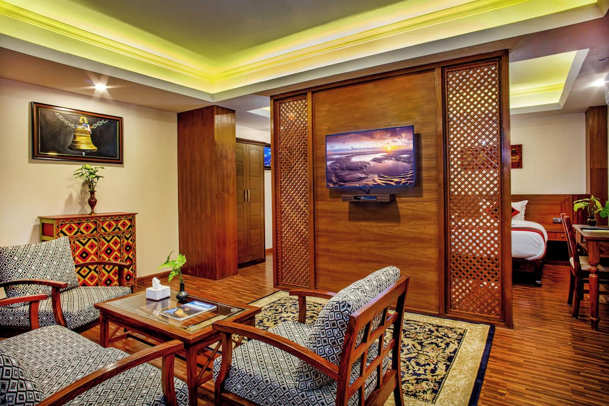A modern living room with a television, patterned furniture, and a decorative screen.