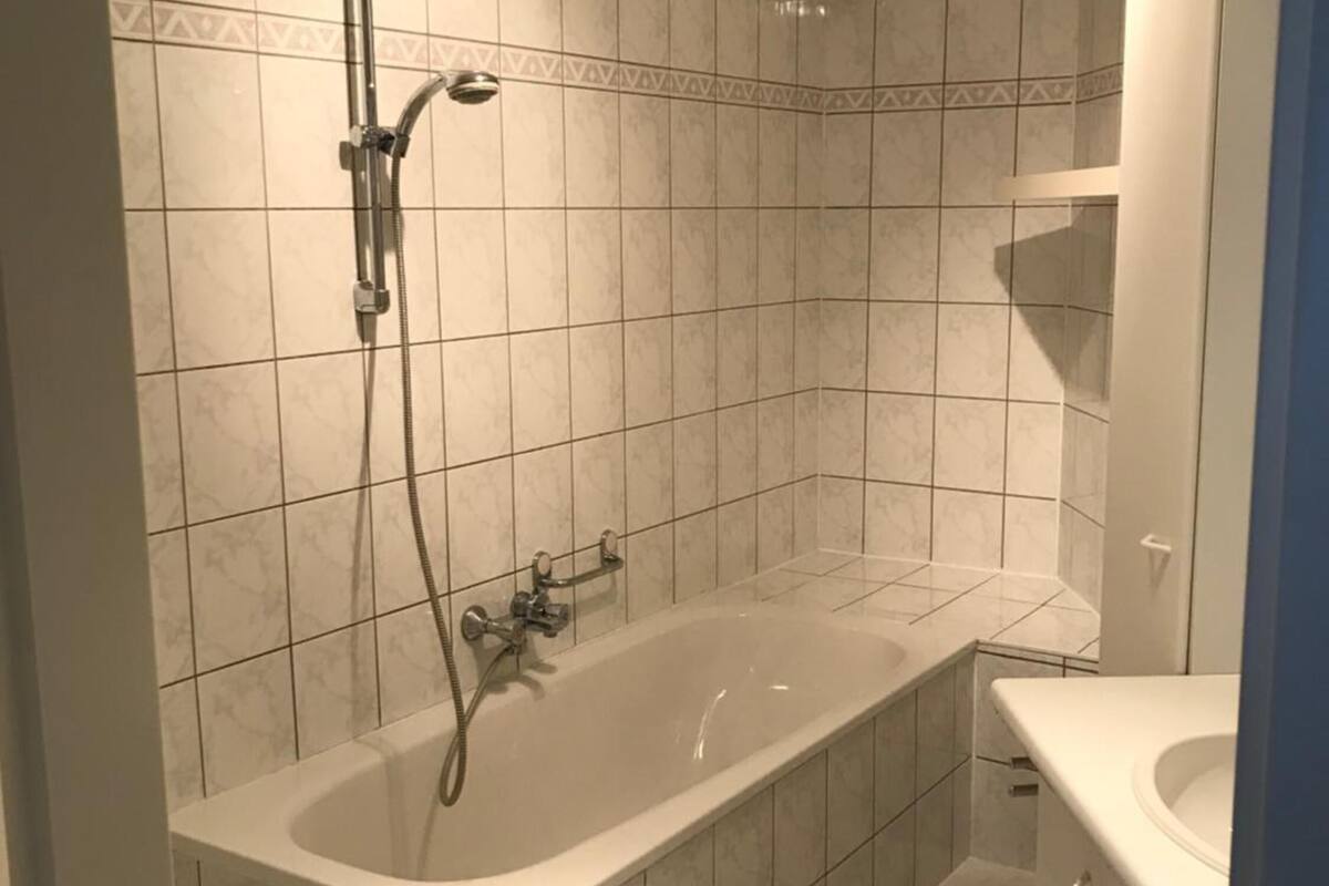 combined shower/bathtub, free toiletries, hair dryer, towels