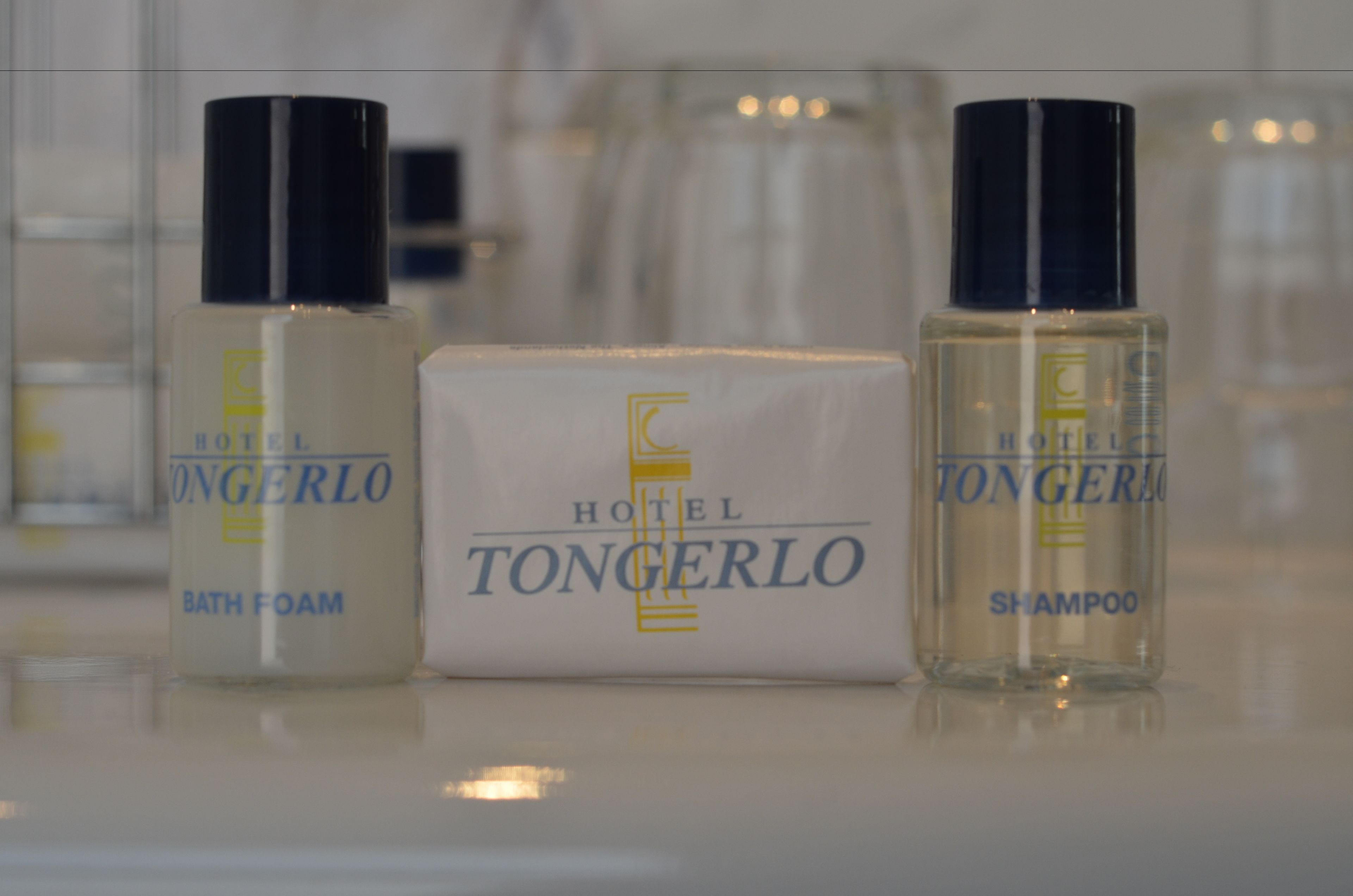 combined shower/bathtub, free toiletries, hair dryer, towels