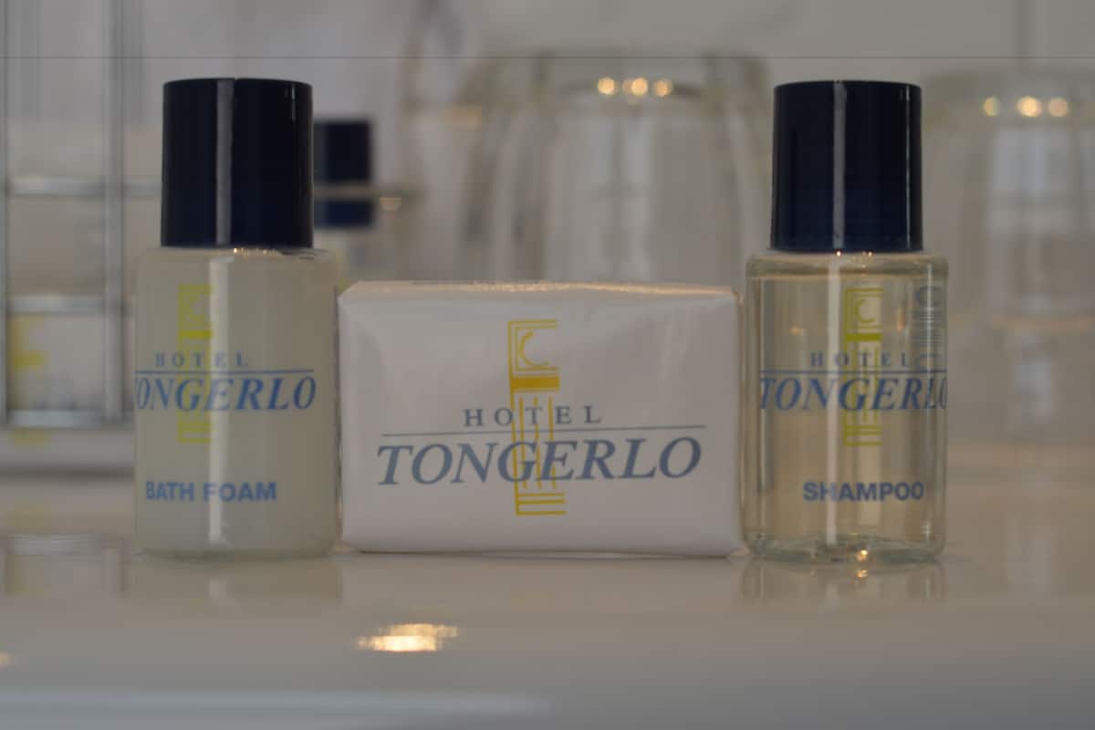 combined shower/bathtub, free toiletries, hair dryer, towels