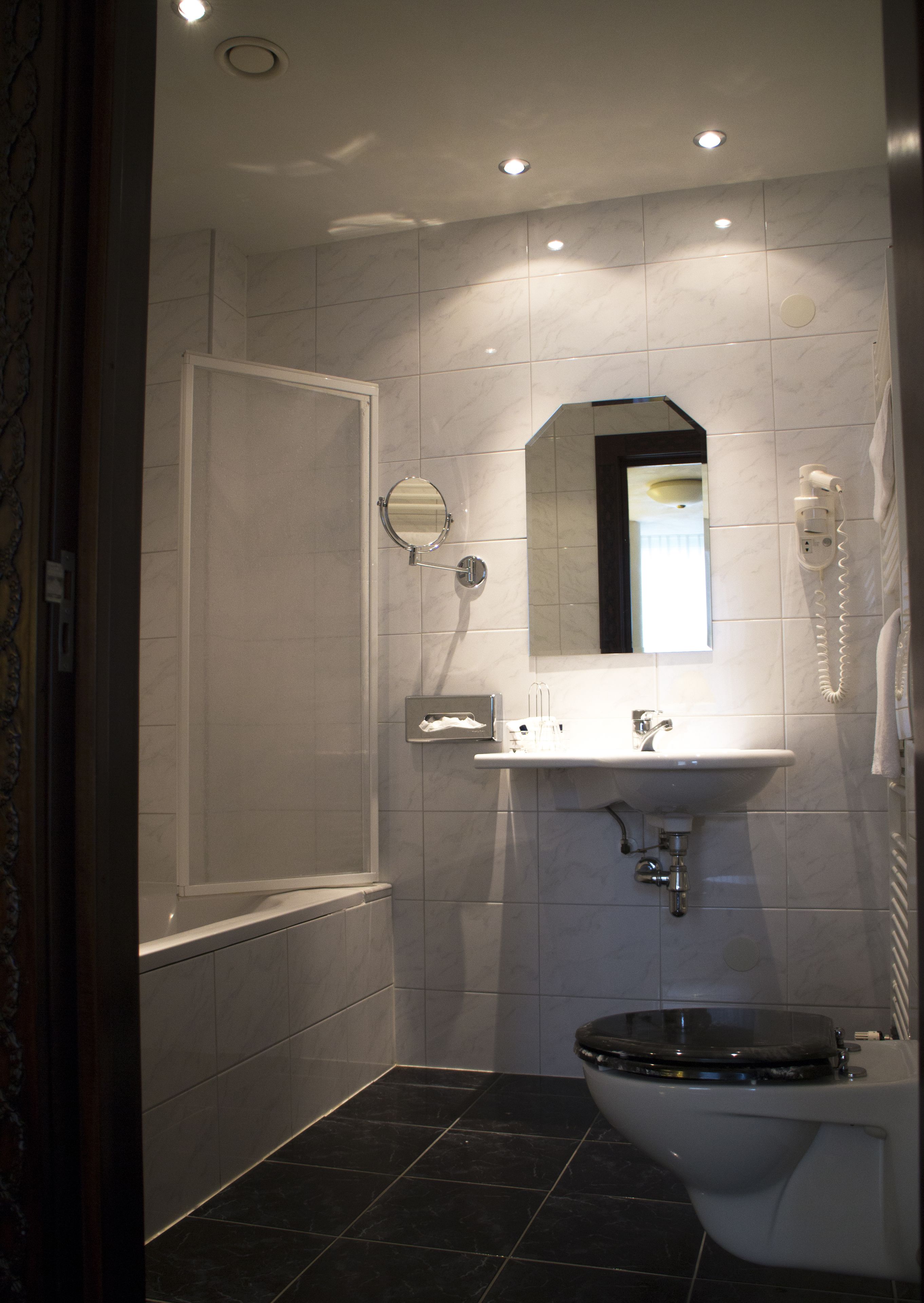 combined shower/bathtub, free toiletries, hair dryer, towels