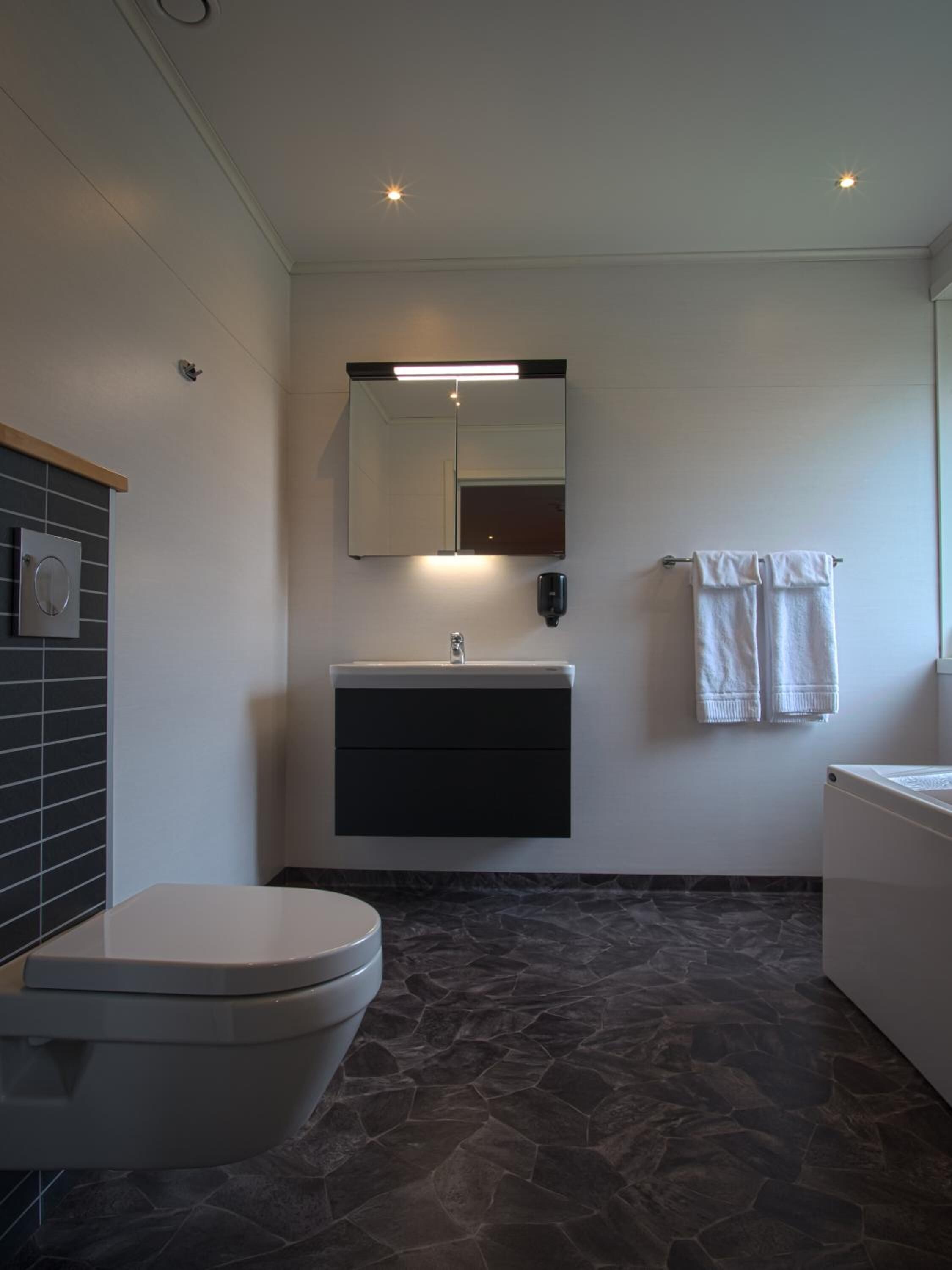 free toiletries, hair dryer